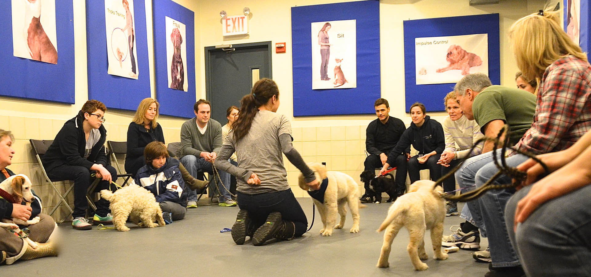 Puppy Class Part One – Andrea Arden Dog Training